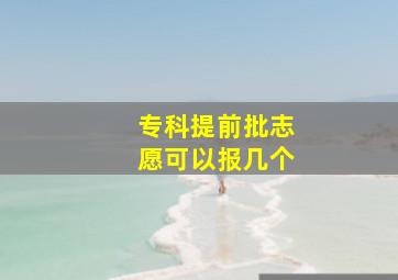 专科提前批志愿可以报几个