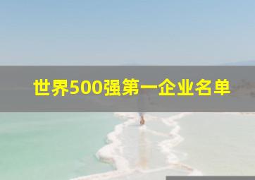 世界500强第一企业名单