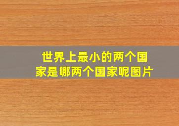 世界上最小的两个国家是哪两个国家呢图片