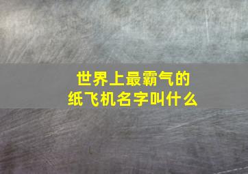 世界上最霸气的纸飞机名字叫什么