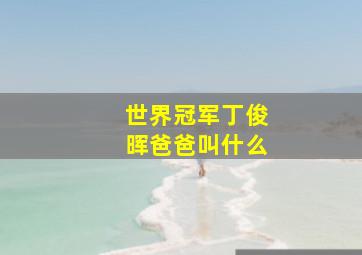 世界冠军丁俊晖爸爸叫什么