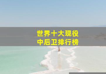 世界十大现役中后卫排行榜