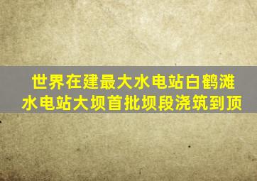 世界在建最大水电站白鹤滩水电站大坝首批坝段浇筑到顶