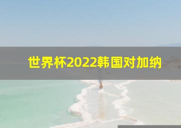 世界杯2022韩国对加纳