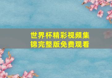 世界杯精彩视频集锦完整版免费观看