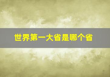 世界第一大省是哪个省