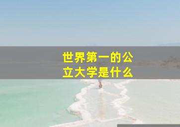 世界第一的公立大学是什么