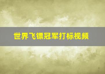 世界飞镖冠军打标视频