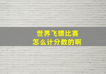 世界飞镖比赛怎么计分数的啊