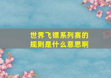 世界飞镖系列赛的规则是什么意思啊