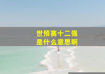 世预赛十二强是什么意思啊