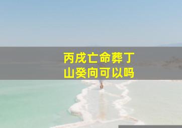 丙戌亡命葬丁山癸向可以吗