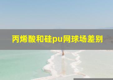 丙烯酸和硅pu网球场差别