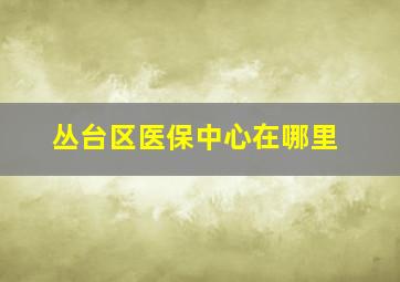 丛台区医保中心在哪里