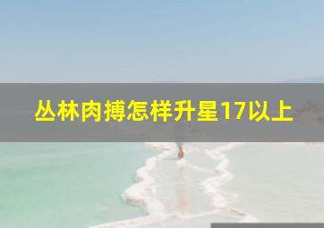 丛林肉搏怎样升星17以上