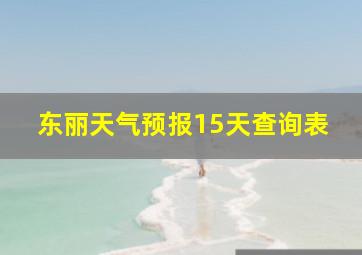 东丽天气预报15天查询表