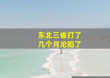 东北三省打了几个月沦陷了