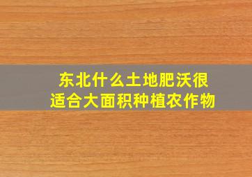 东北什么土地肥沃很适合大面积种植农作物