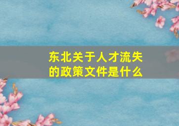 东北关于人才流失的政策文件是什么