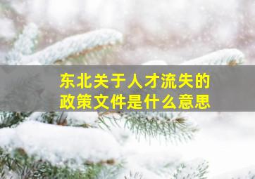 东北关于人才流失的政策文件是什么意思