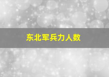 东北军兵力人数