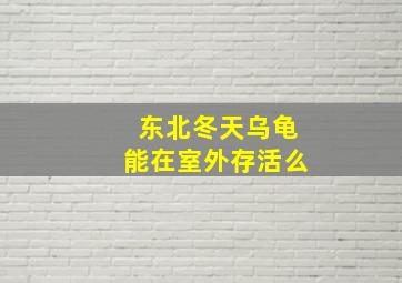 东北冬天乌龟能在室外存活么