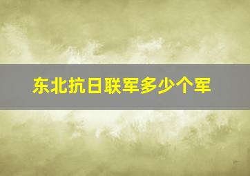 东北抗日联军多少个军