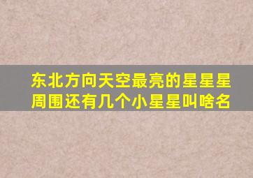 东北方向天空最亮的星星星周围还有几个小星星叫啥名