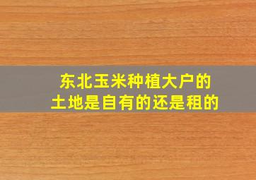 东北玉米种植大户的土地是自有的还是租的