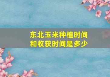 东北玉米种植时间和收获时间是多少