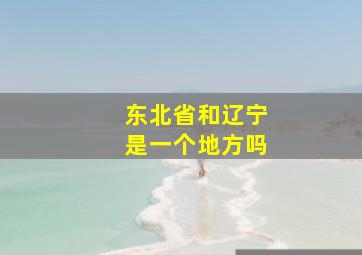 东北省和辽宁是一个地方吗