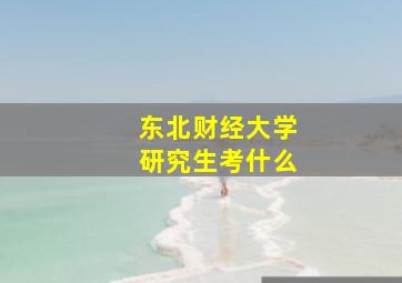 东北财经大学研究生考什么