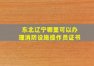 东北辽宁哪里可以办理消防设施操作员证书