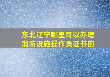 东北辽宁哪里可以办理消防设施操作员证书的