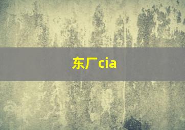 东厂cia