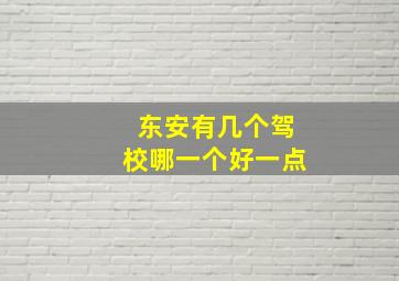 东安有几个驾校哪一个好一点