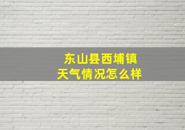 东山县西埔镇天气情况怎么样