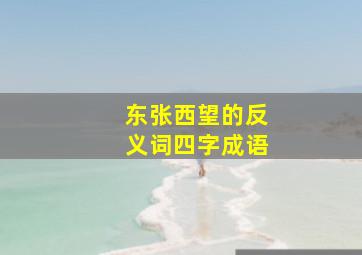 东张西望的反义词四字成语