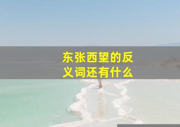 东张西望的反义词还有什么