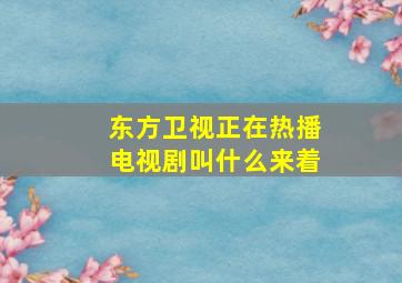 东方卫视正在热播电视剧叫什么来着