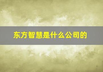 东方智慧是什么公司的