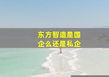 东方智造是国企么还是私企