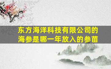 东方海洋科技有限公司的海参是哪一年放入的参苗