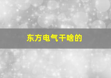 东方电气干啥的