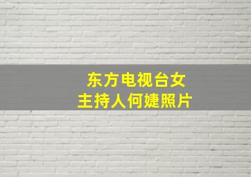 东方电视台女主持人何婕照片