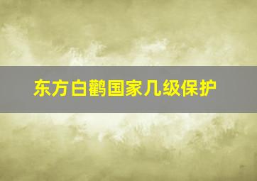 东方白鹳国家几级保护