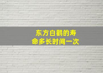 东方白鹳的寿命多长时间一次