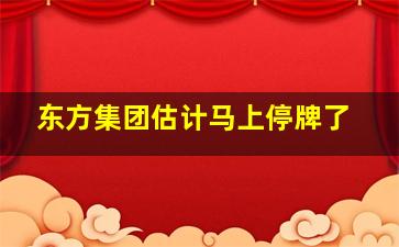 东方集团估计马上停牌了