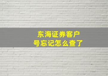 东海证券客户号忘记怎么查了