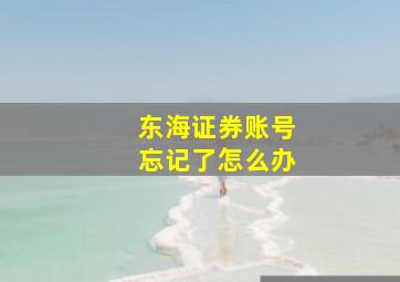 东海证券账号忘记了怎么办